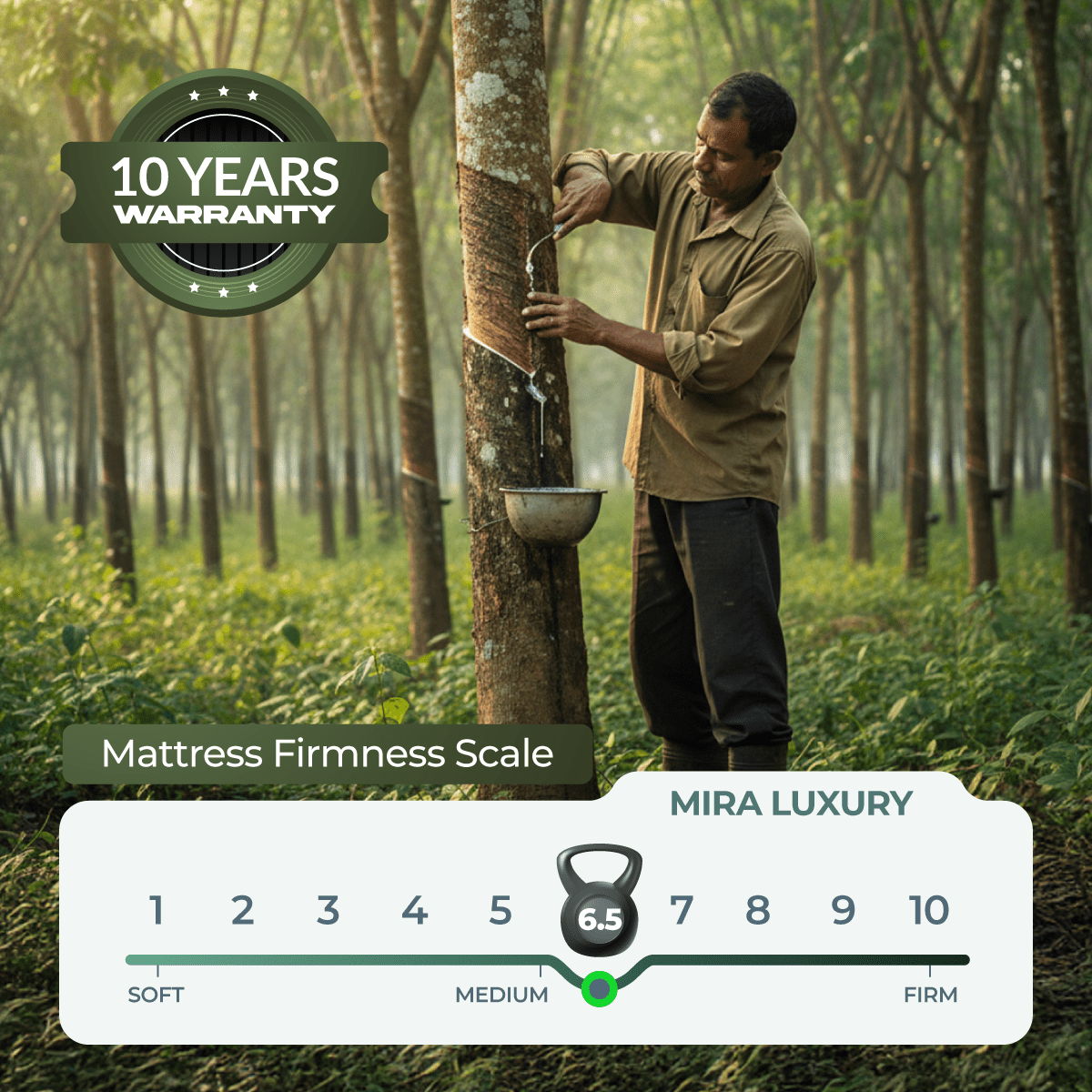 Mira Luxury