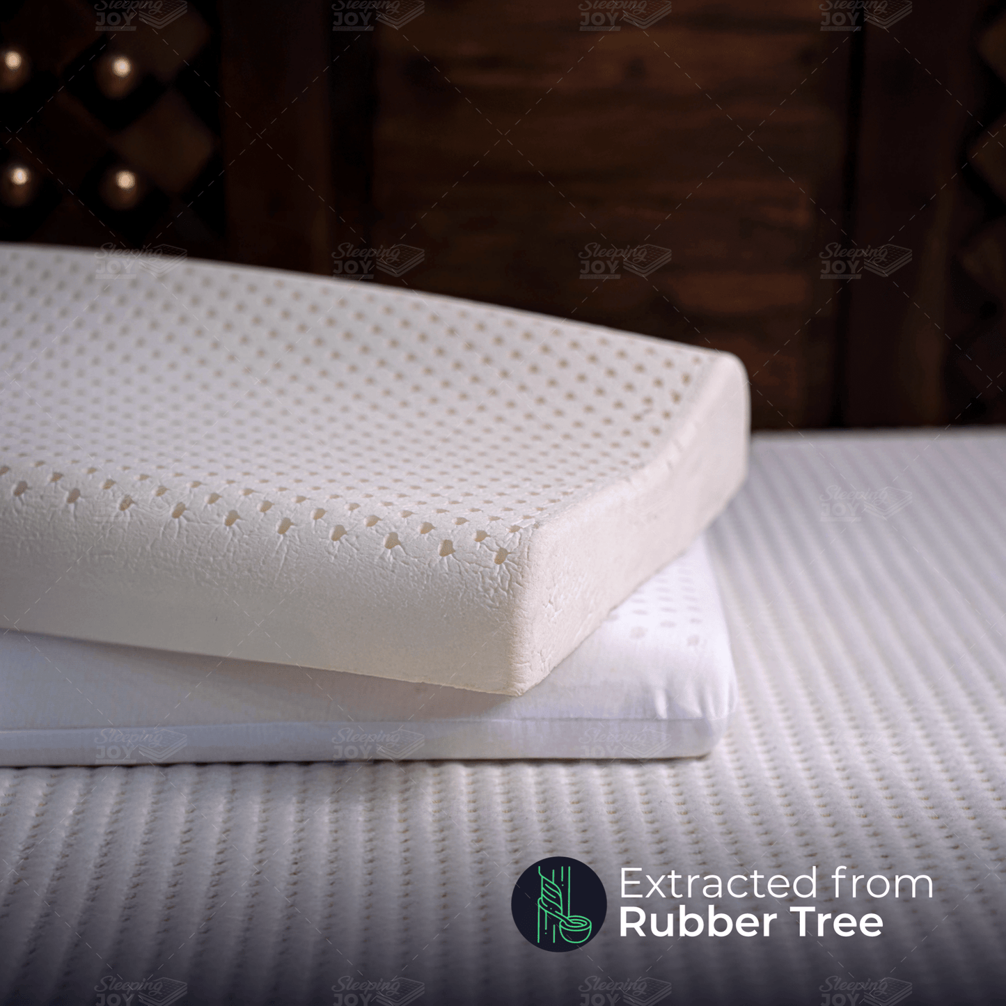 DM 2 Contour Latex Pillow