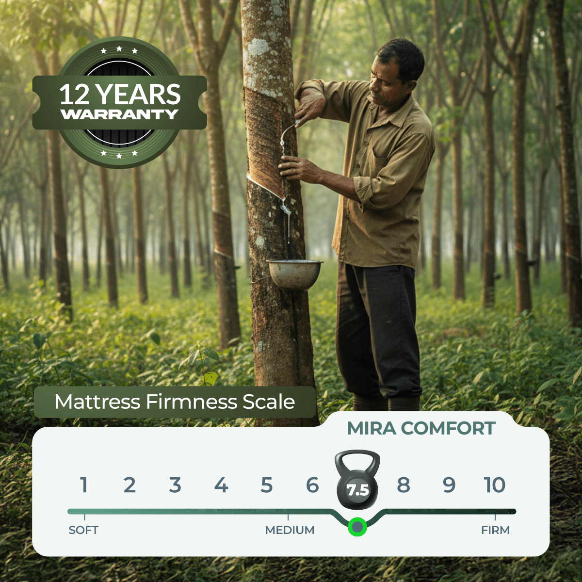 Mira Comfort