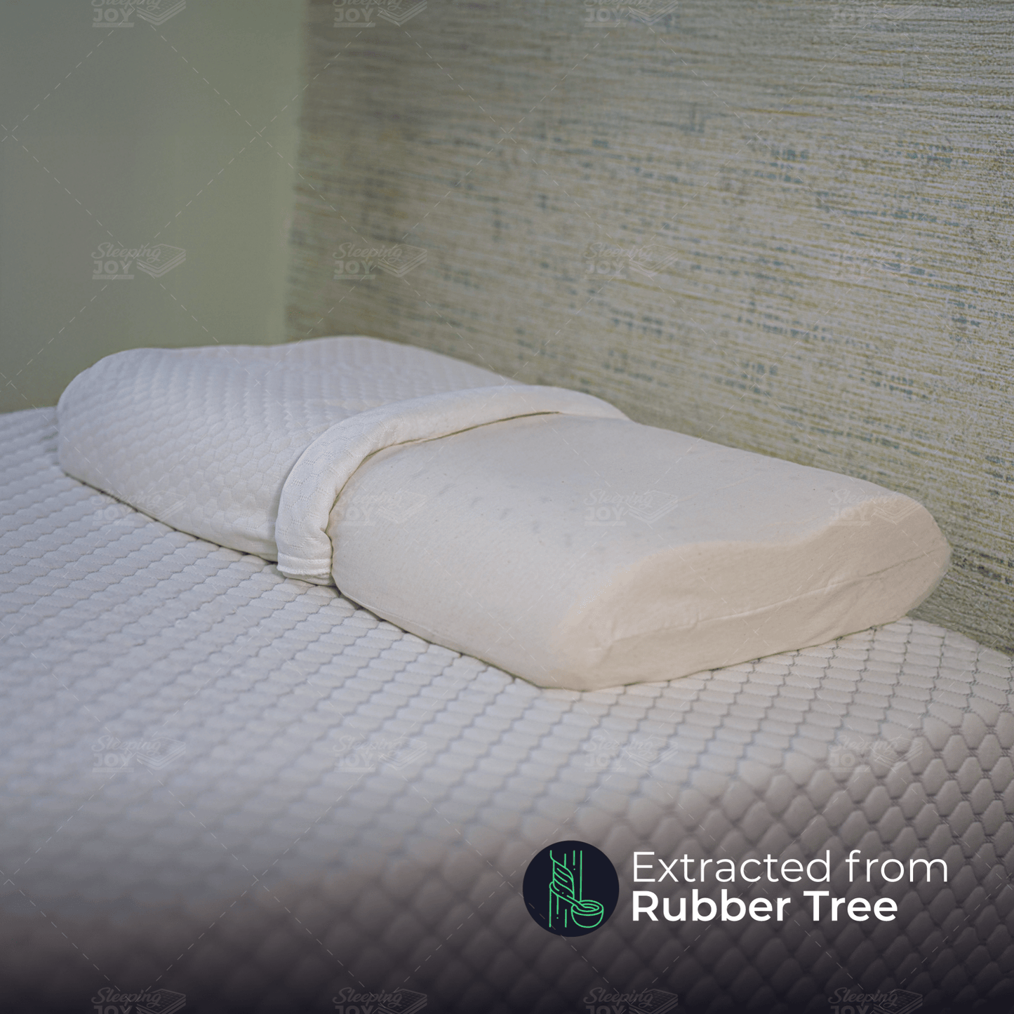 Plain Contour Pillow