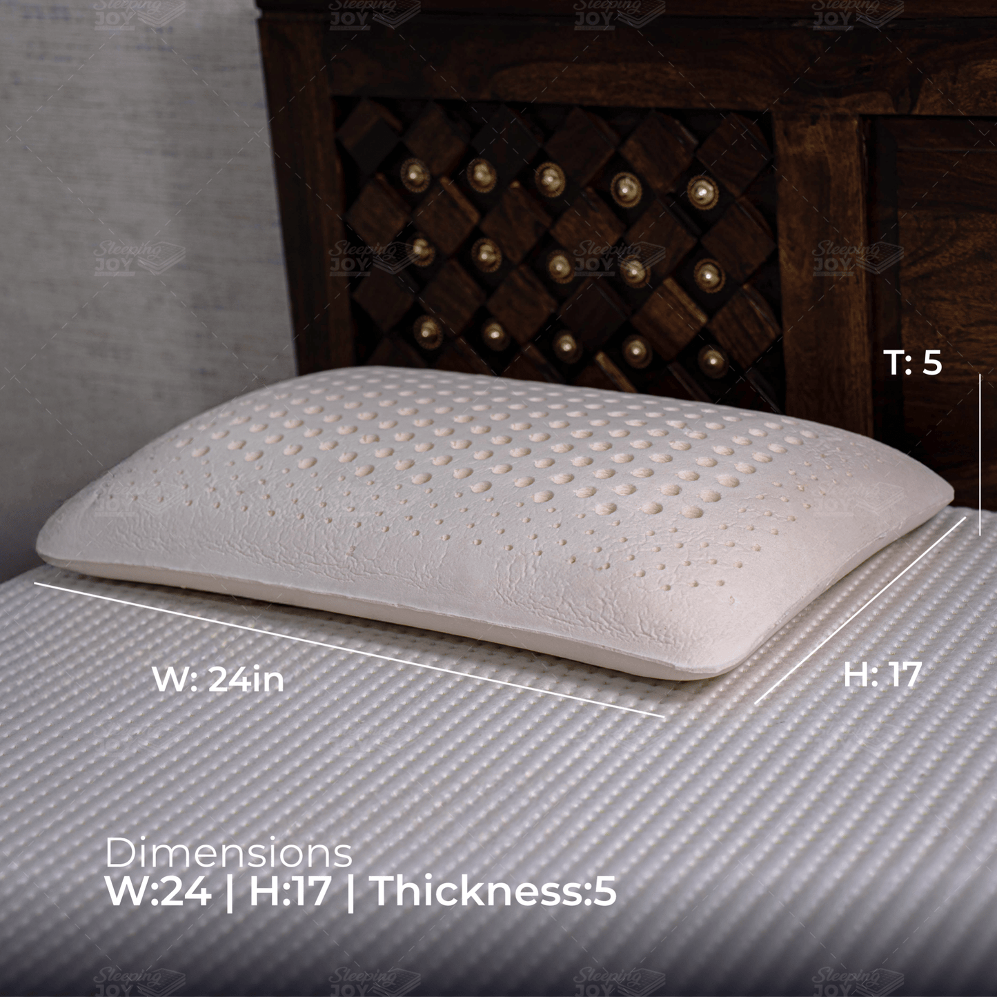 Regular Latex Pillow