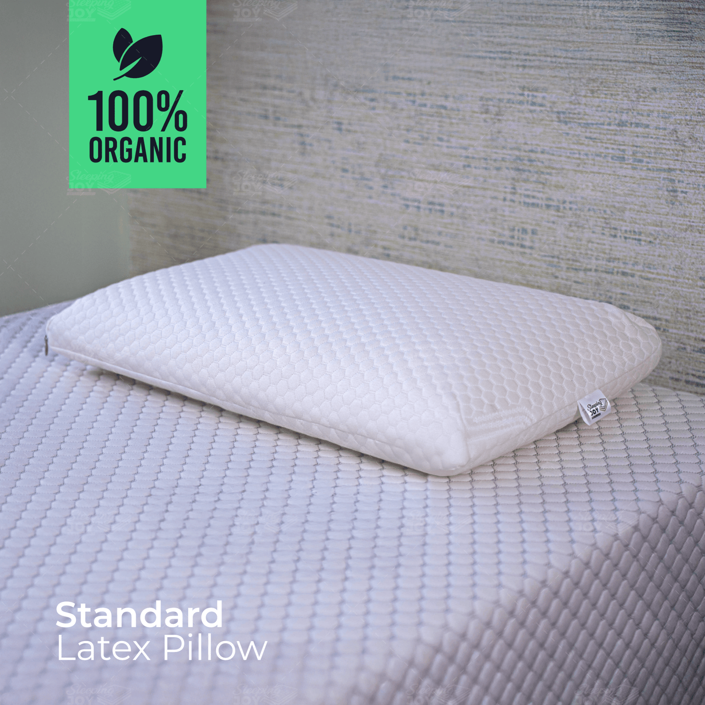 SJ Standard Latex Pillow