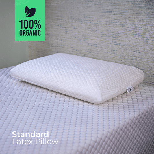 SJ Standard Latex Pillow